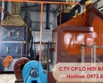 Hướng Dẫn Chọn Mua Lò Hơi Đốt Củi Phù Hợp Cho Nhà Máy Của Bạn
